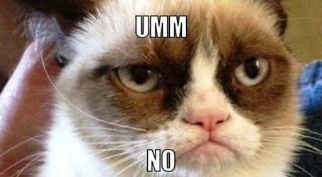 grumpycat learns to stop jealous thoughts